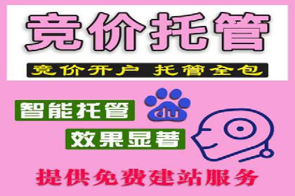 竞价推广优化技巧：实战案例详解